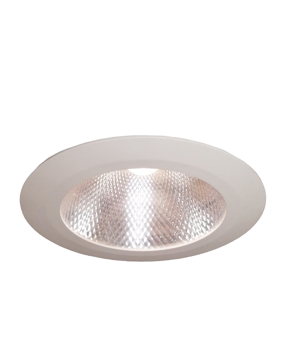 LED 4" Dimmable Retrofit Down Light 120V 15W - TM-290-15W